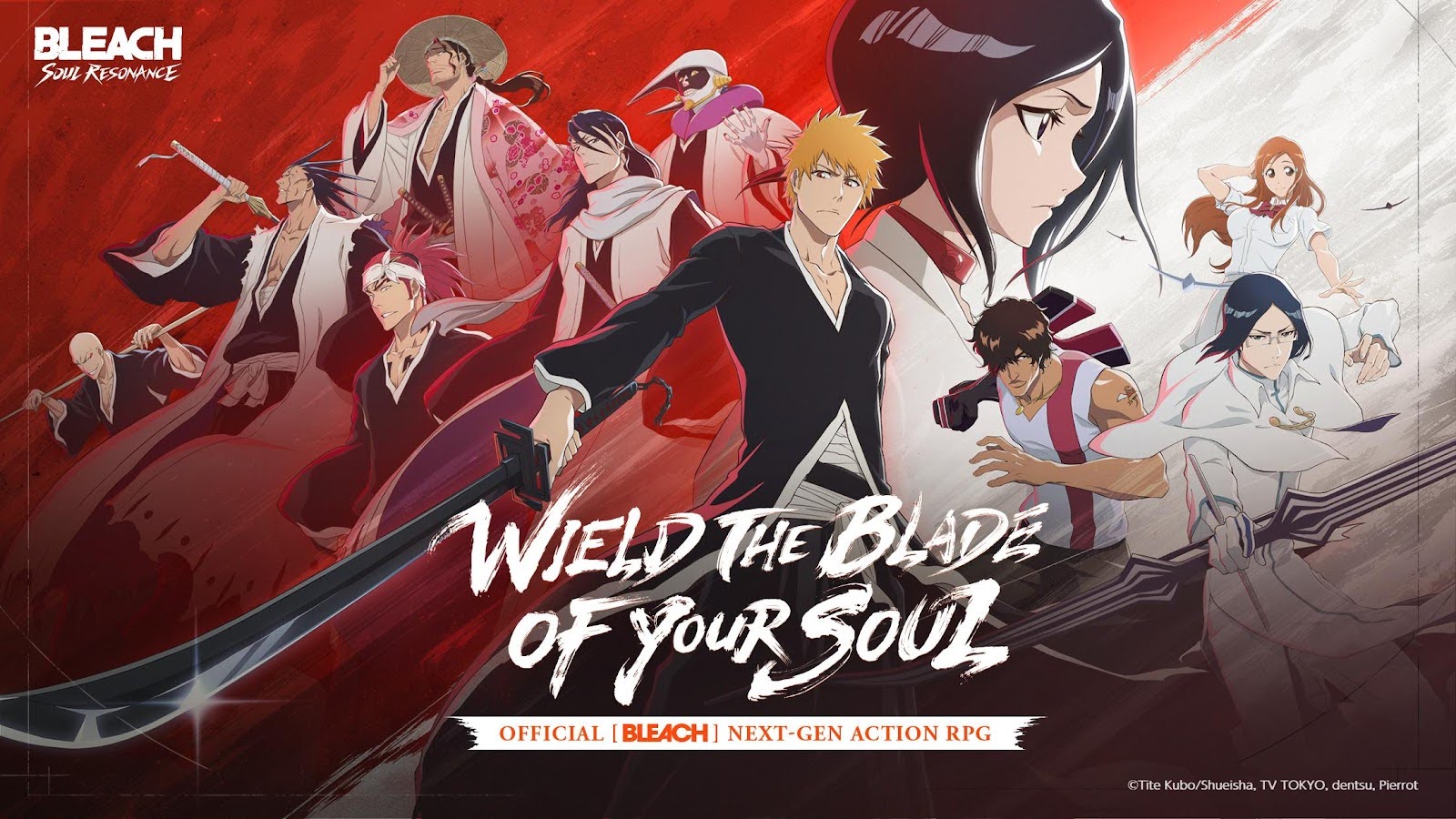 Bleach: Soul Resonance